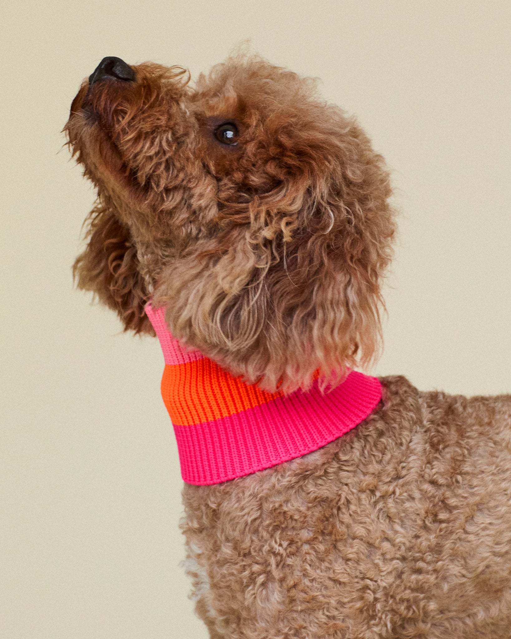 Sunny Tangerine - The Glow Loop - Share Happy Outfits
