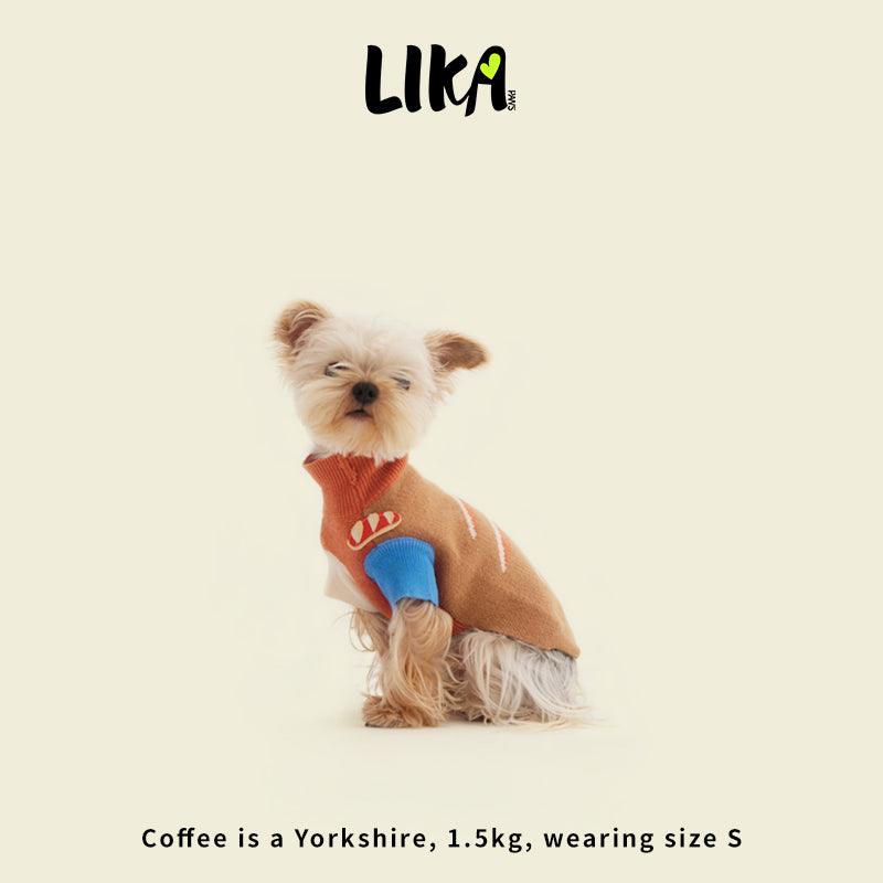Small dog wearing a sweater with &