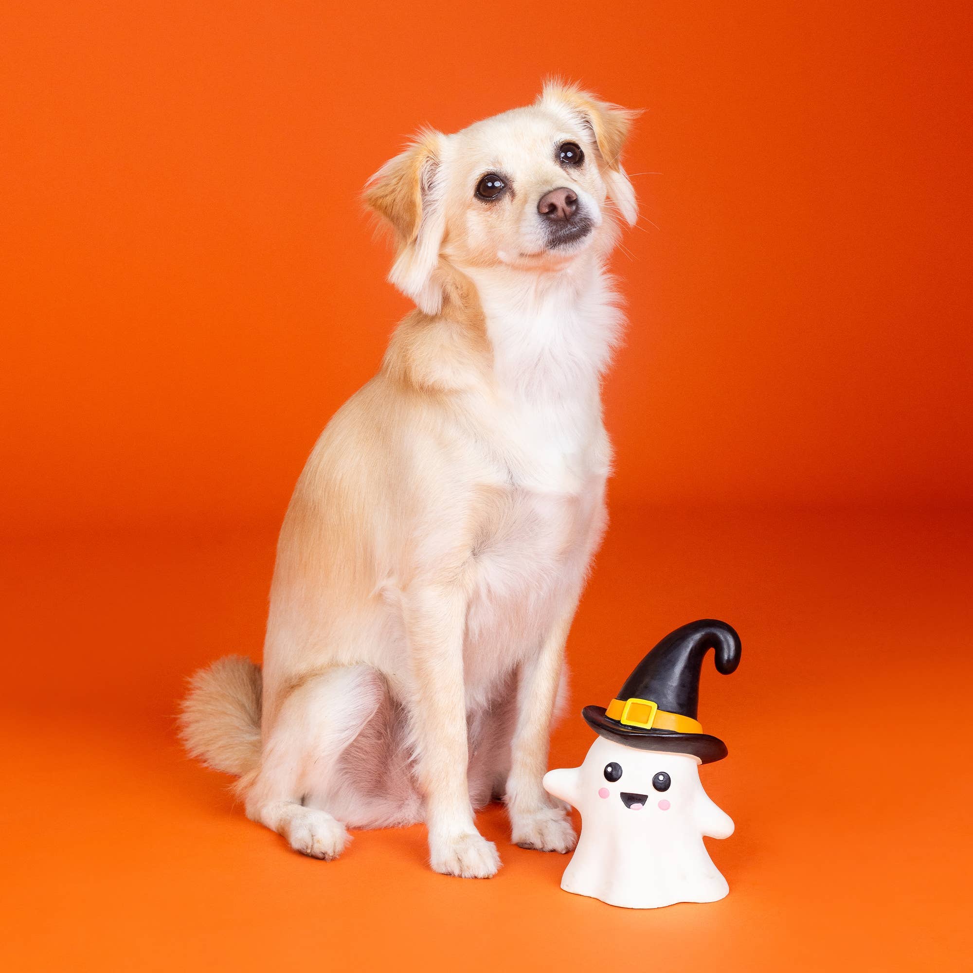 Fringe ONE WICKED GHOST LATEX DOG TOY - Share Happy Outfits