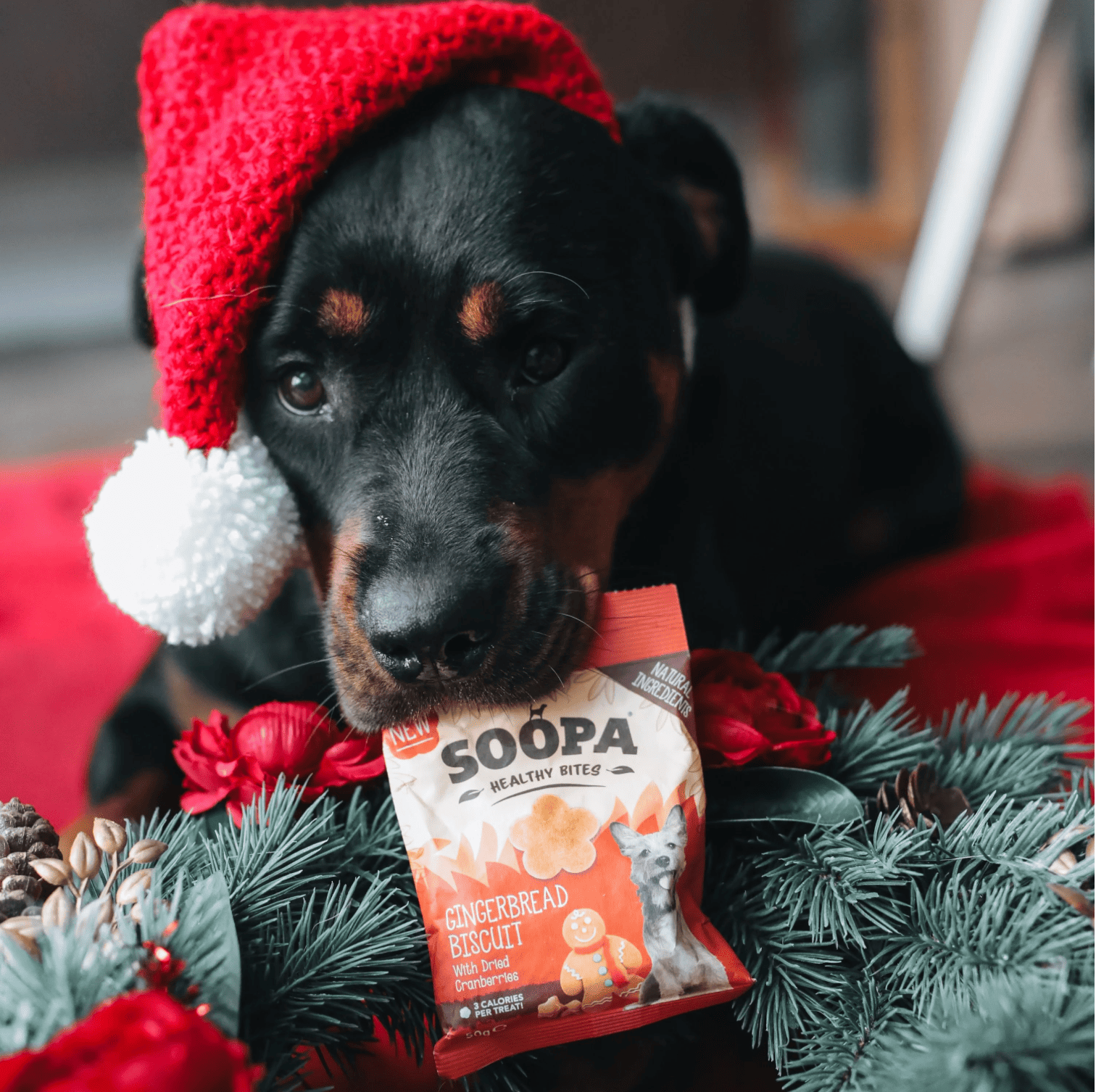 Natural Vegan Gingerbread Biscuit Healthy Bites - Share Happy Outfits