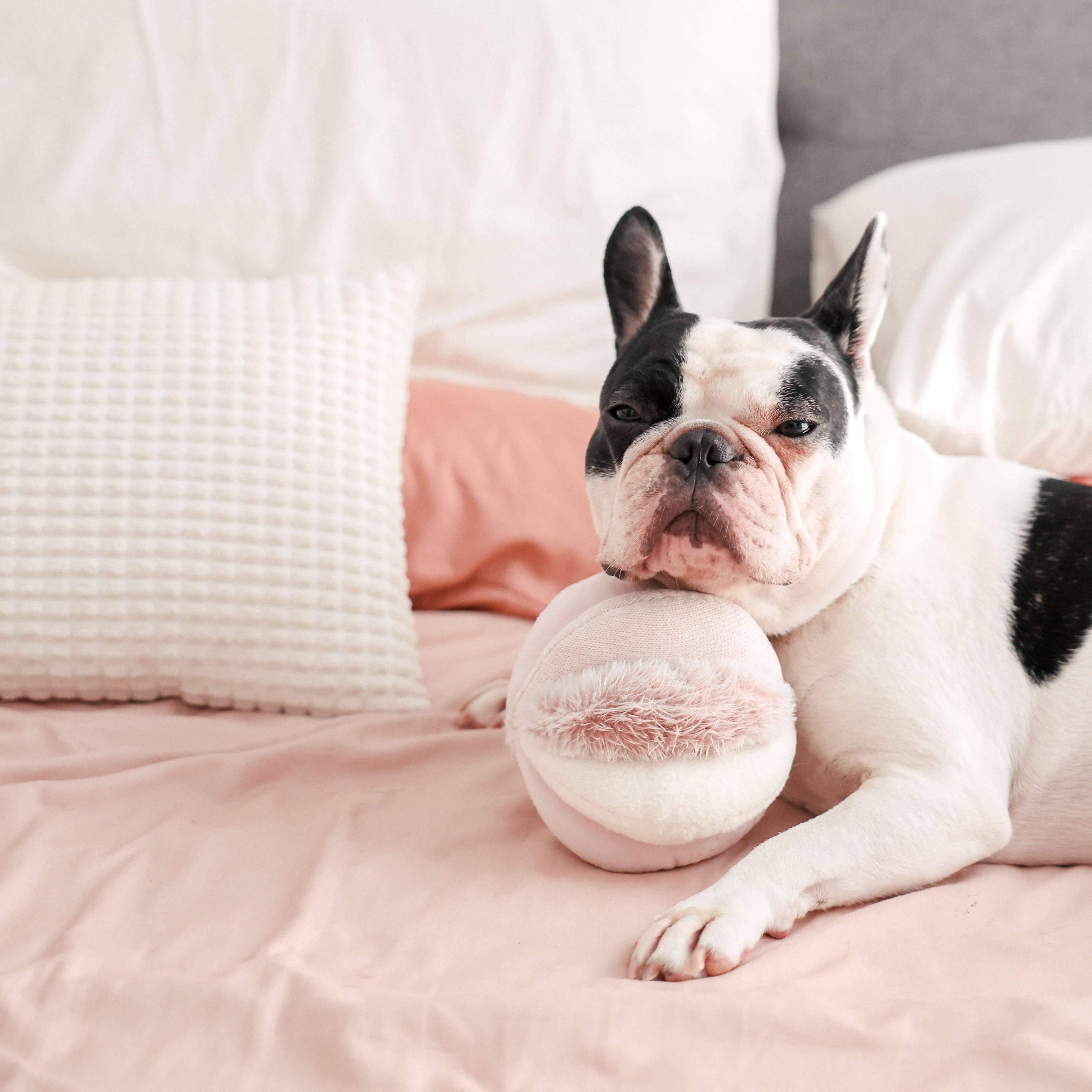 Pink Toto – Sensory Snuffle Ball for Dogs