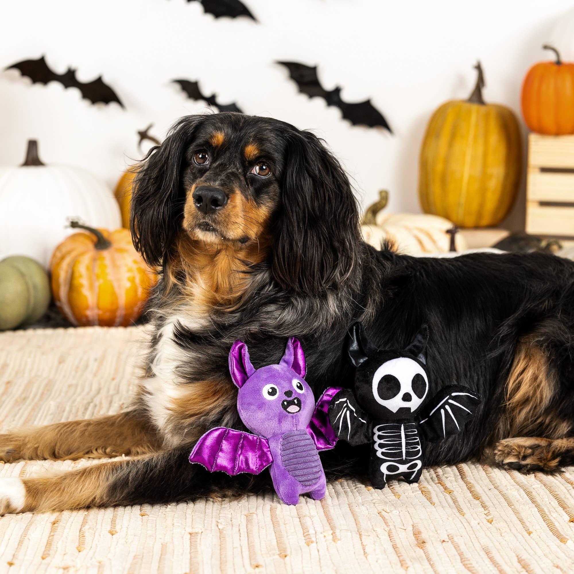 Fringe BAT TO THE BONE - Share Happy Outfits