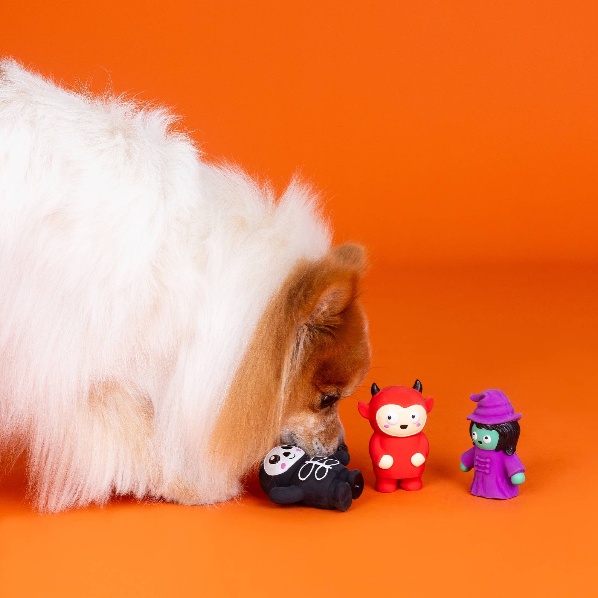 Fringe FRIGHT THIS WAY 3PC MINI LTX DOGTOY - Share Happy Outfits