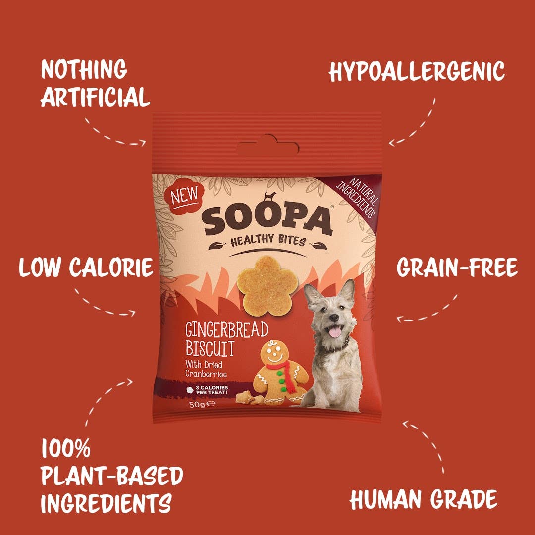 Natural Vegan Gingerbread Biscuit Healthy Bites - Share Happy Outfits