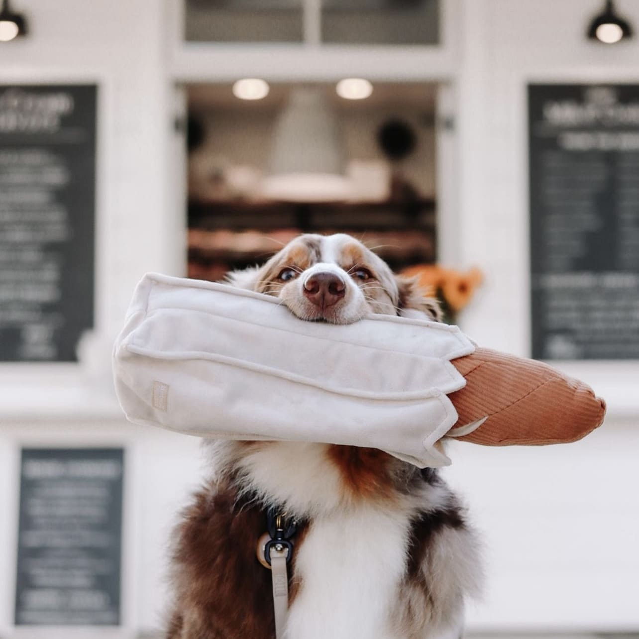 Baguette – Oversized Snuffle & Burrow Dog Toy - Share Happy Outfits