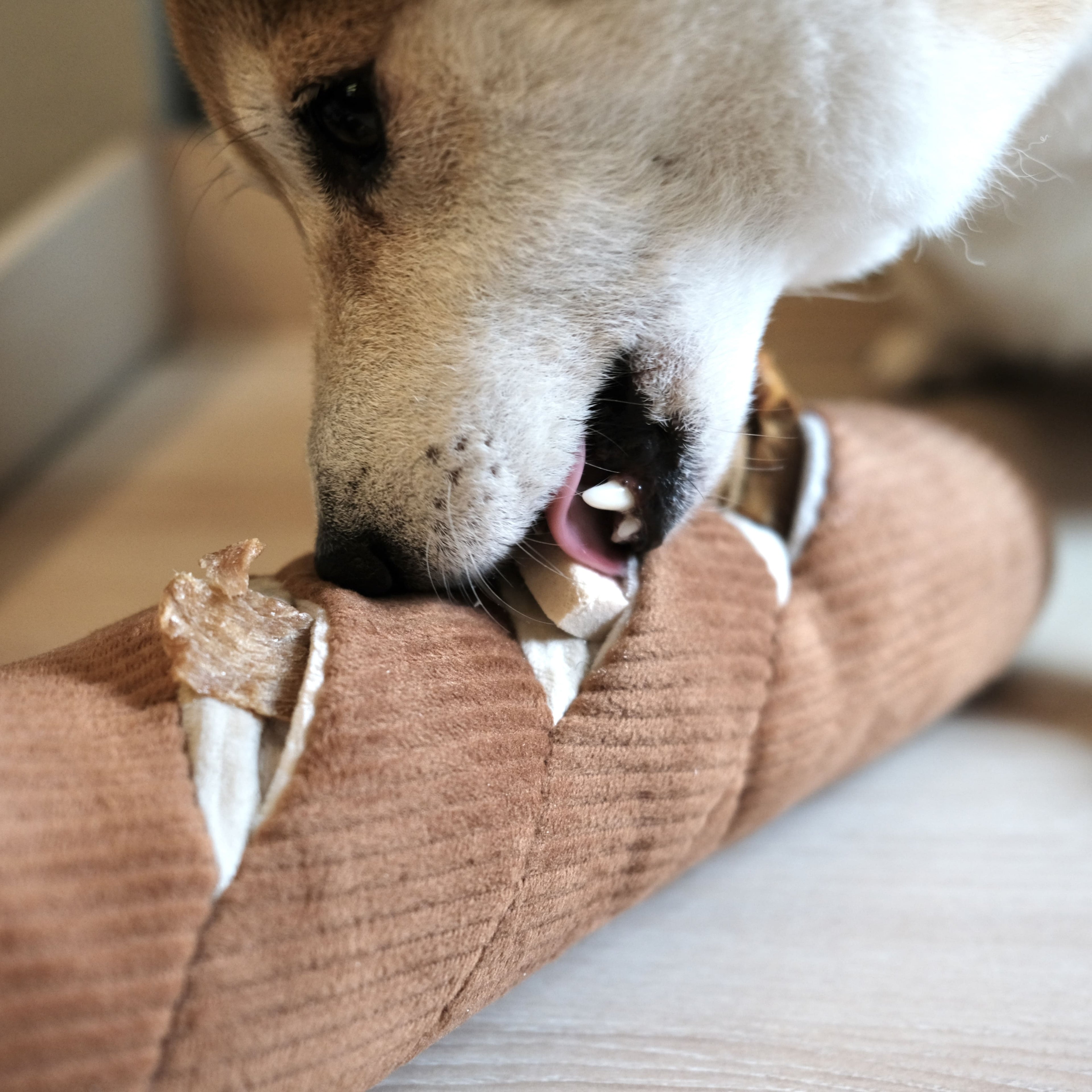 Baguette – Oversized Snuffle & Burrow Dog Toy - Share Happy Outfits