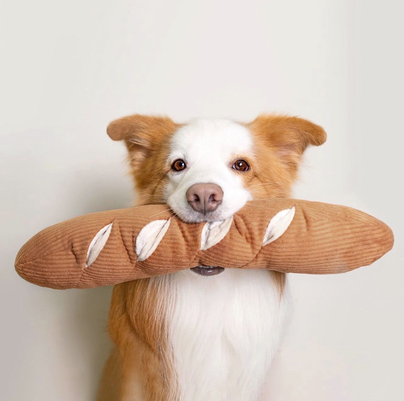Baguette – Oversized Snuffle & Burrow Dog Toy - Share Happy Outfits