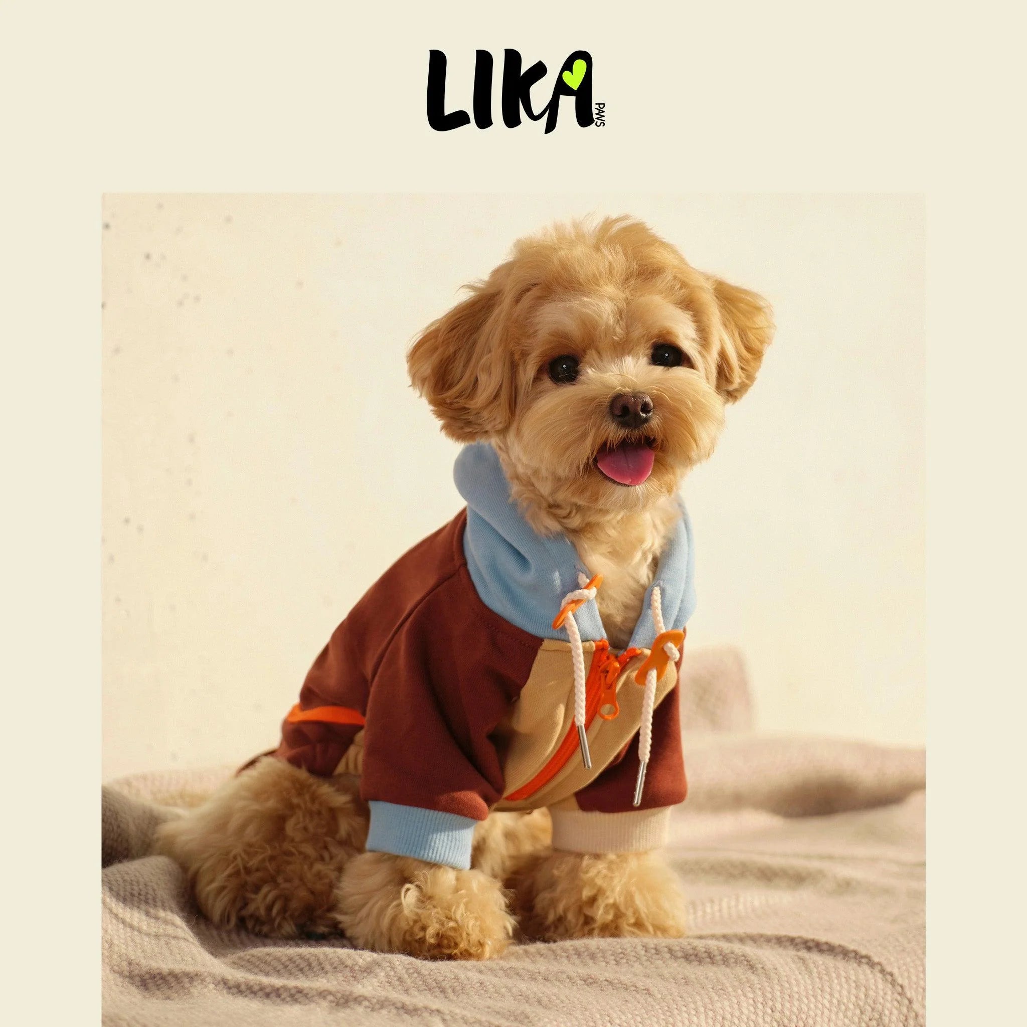 Colorblock Pure Cotton Dog Hoodie – Brown