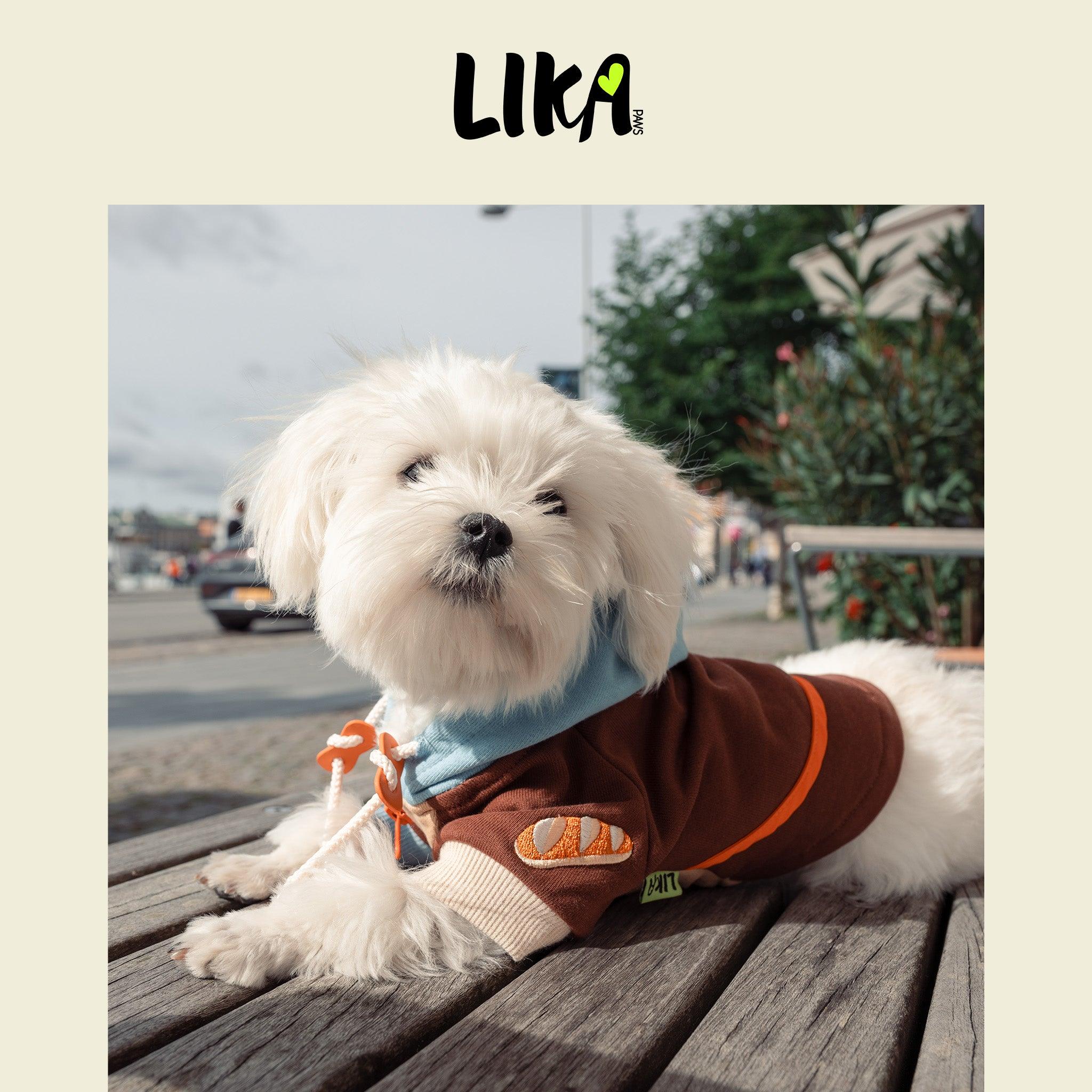 Colorblock Pure Cotton Dog Hoodie – Brown