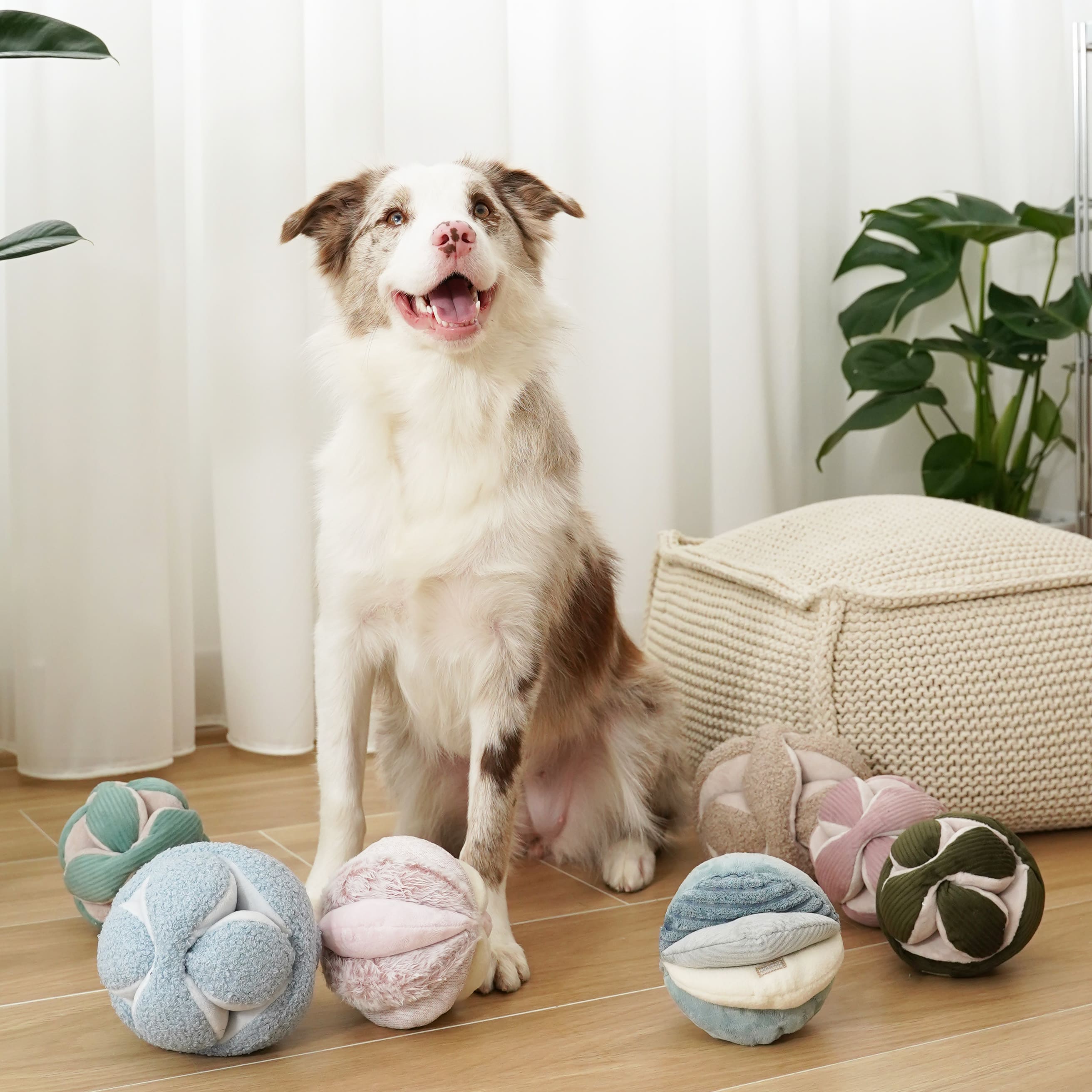Monti – Montessori Snuffle Ball for Dogs