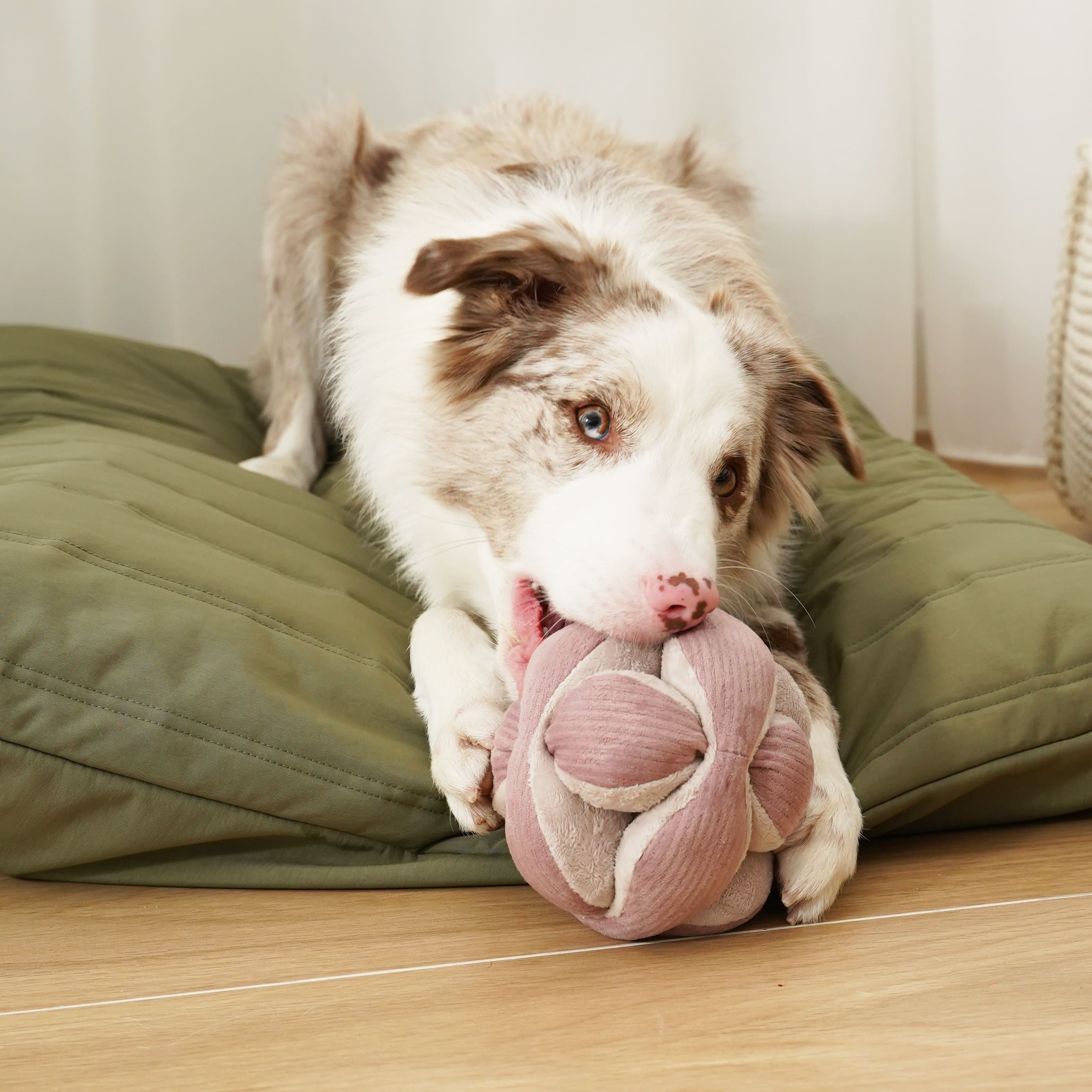Monti Blush – Montessori Snuffle Ball for Dogs