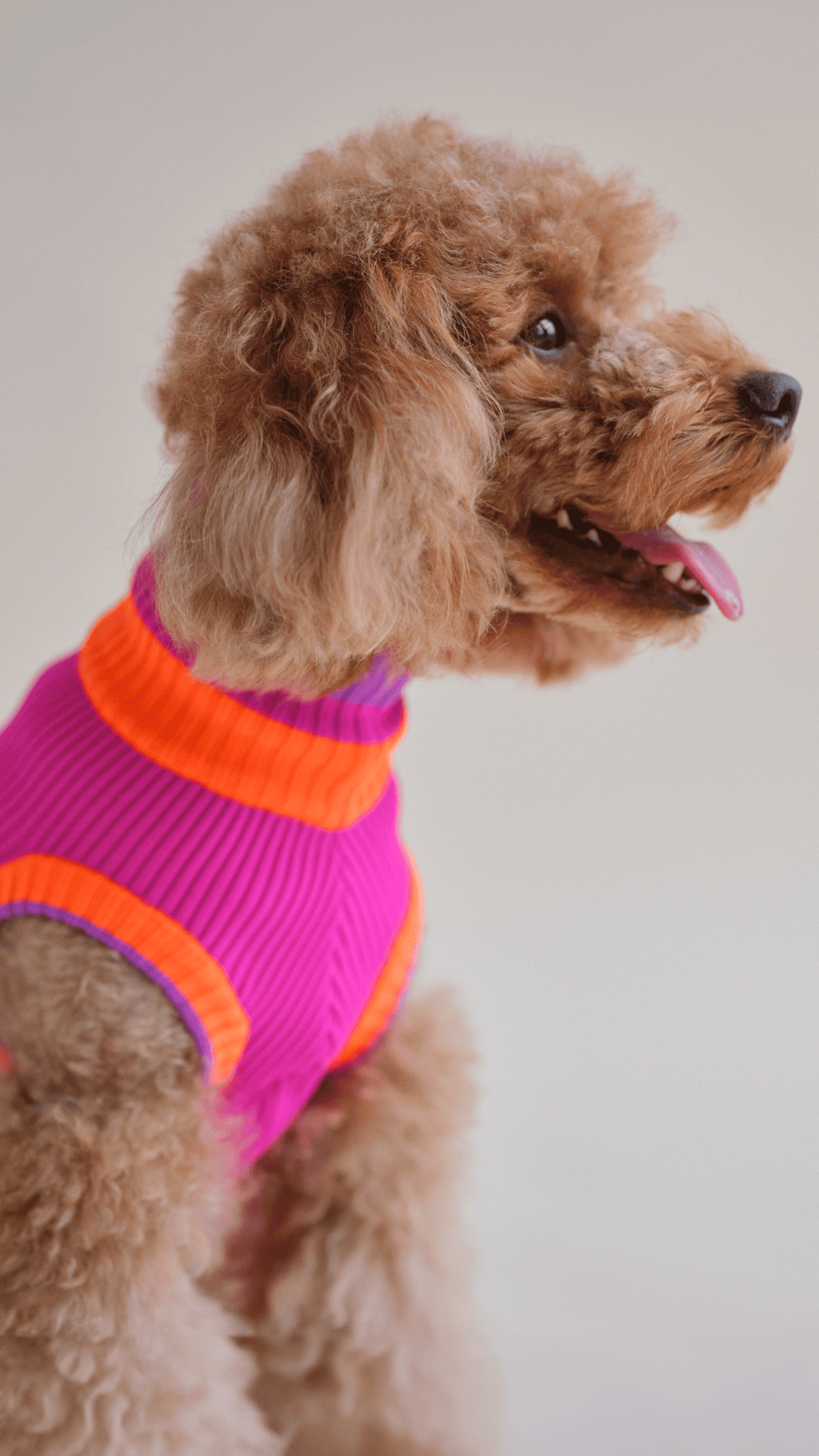 Electric Sunset – The Glow Jumper - Share Happy Outfits