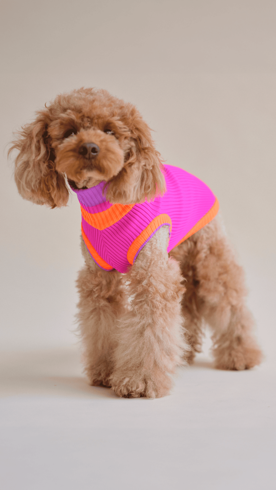 Electric Sunset – The Glow Jumper - Share Happy Outfits
