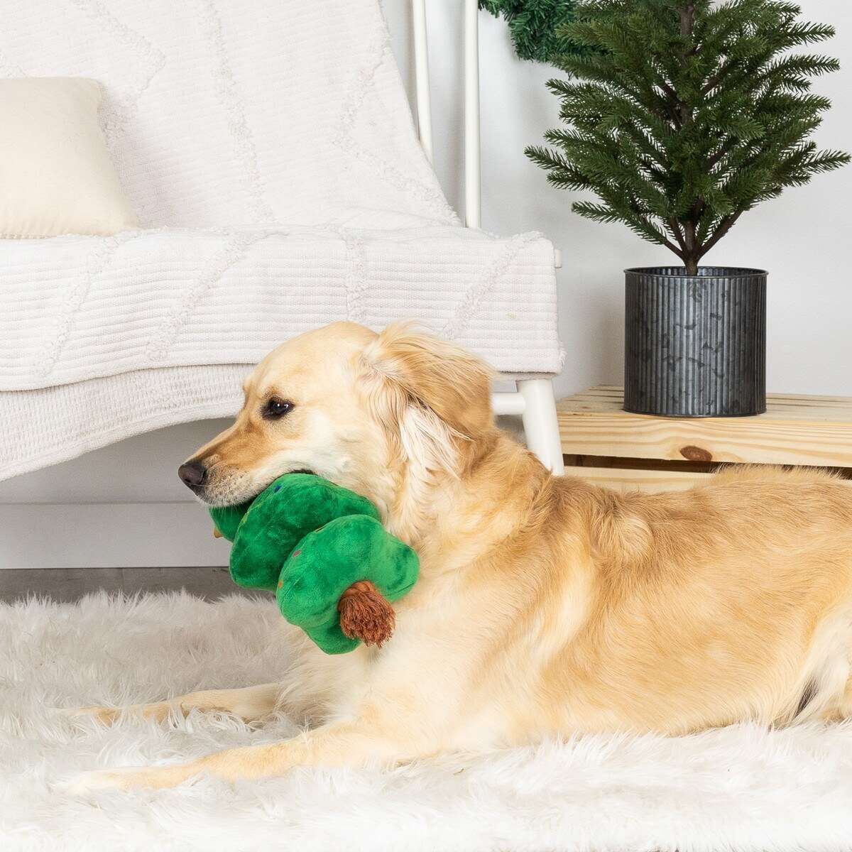 Fringe Studio Light Me Up - Christmas Tug & Squeaky Dog Toy
