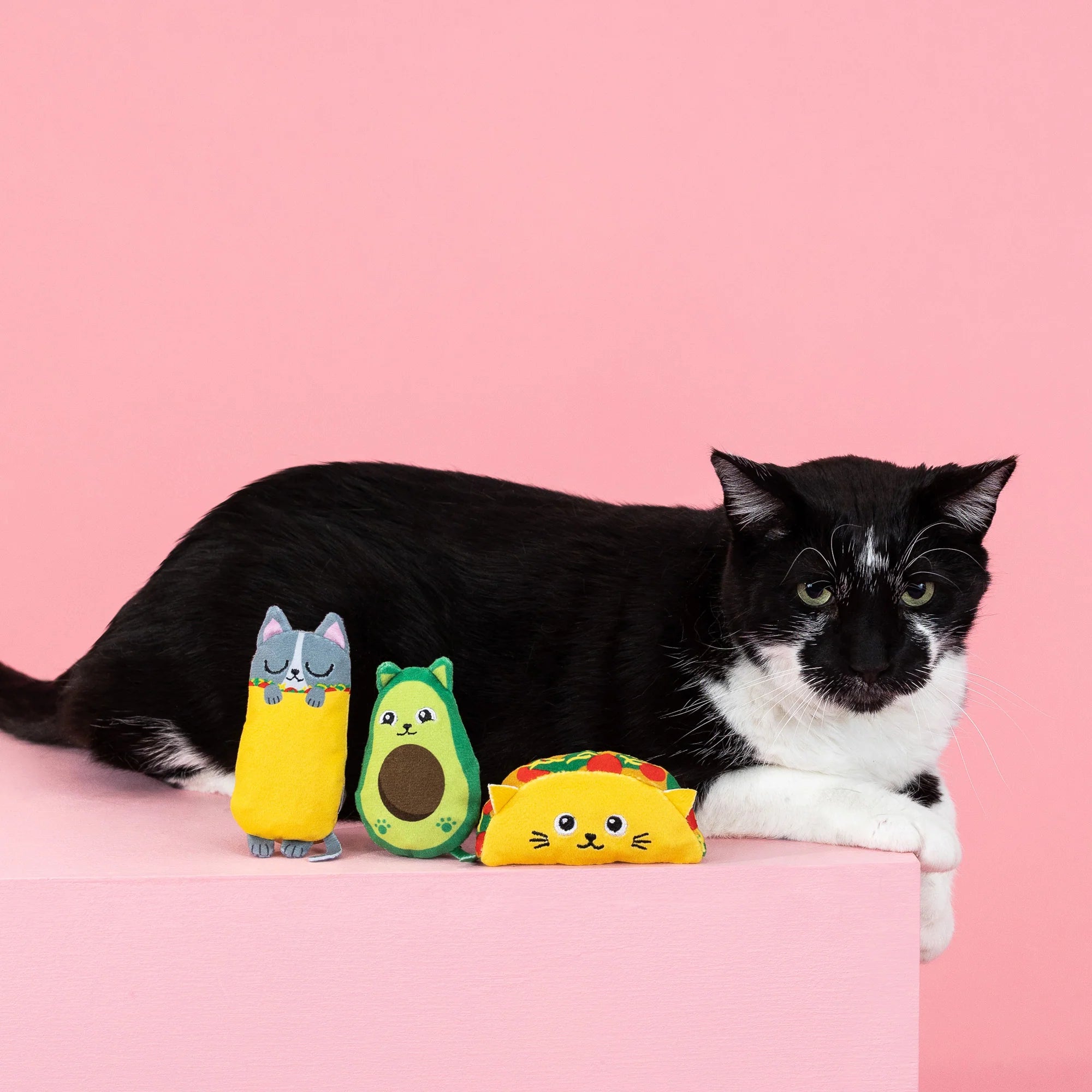 Fringe Studio Kitty Cravings – 3-Piece Mini Cat Toy Set - Share Happy Outfits