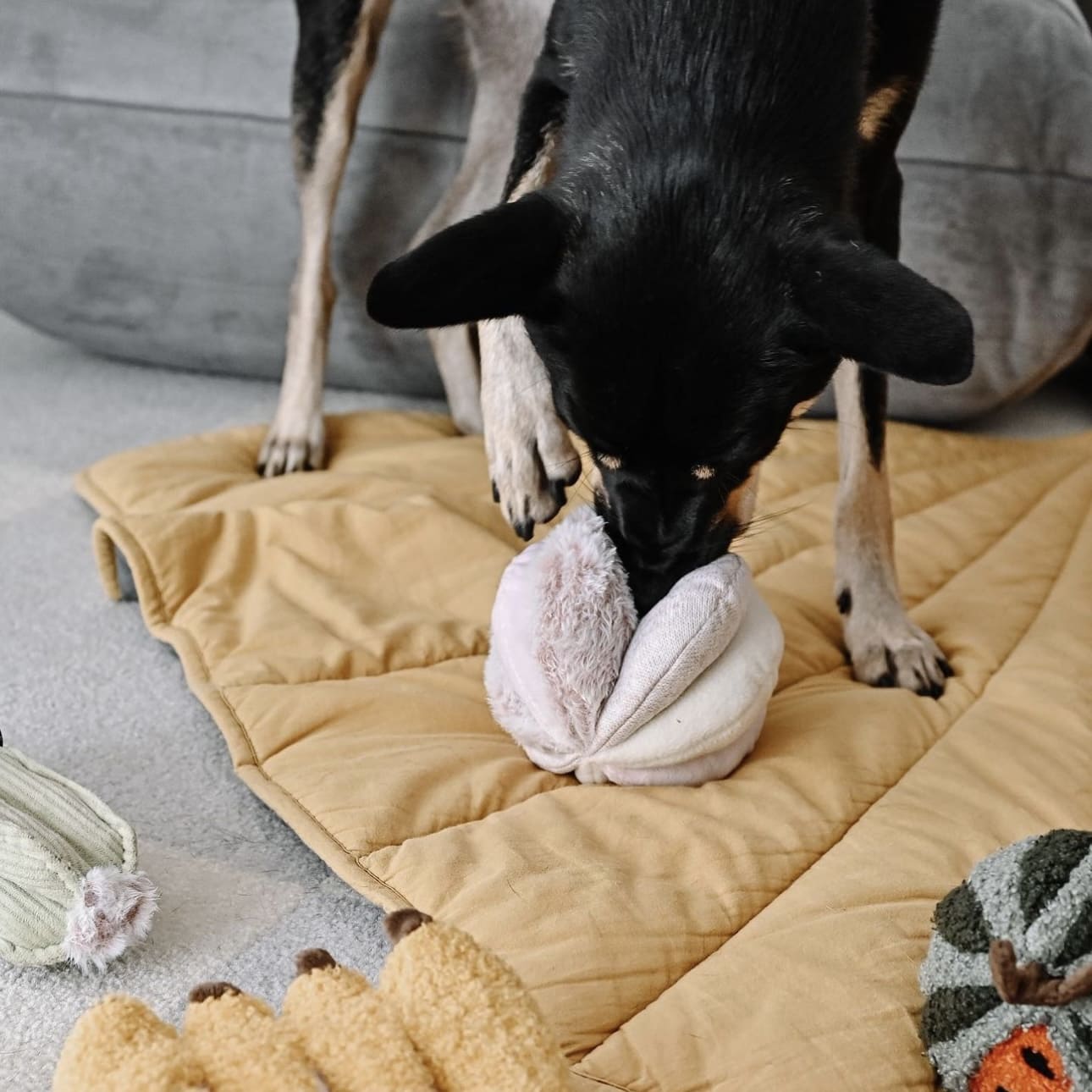 Pink Toto – Sensory Snuffle Ball for Dogs