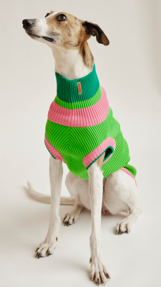 Watermelon Crush - The Glow Jumper - Share Happy Outfits