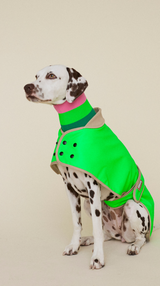 The Glow Raincoat - Green - Regular Fit - Share Happy Outfits