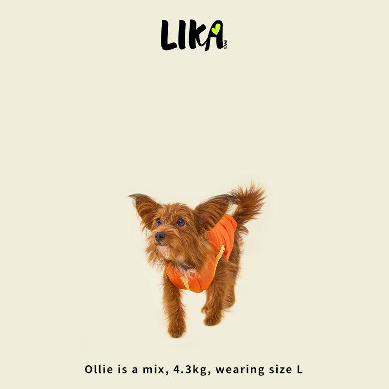Nordic Style Reversible Padded Dog Jacket