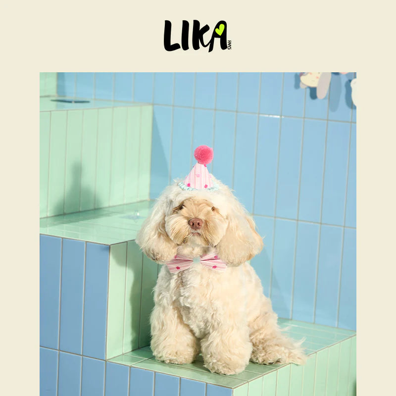 Birthday Celebration Set – Adjustable Collar, Velvet Bow & Pom-Pom Hat
