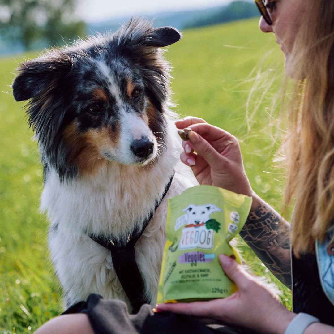 Person holding a ZeeDog Veggie treat package next to a dog in a grassy field