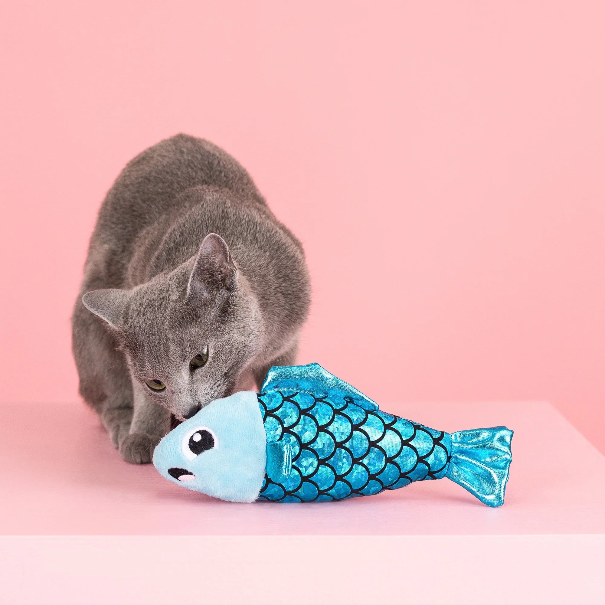 A Little Fishy Cat Toy - Catnip Kicker Toy for Interactive Play - Share Happy Outfits