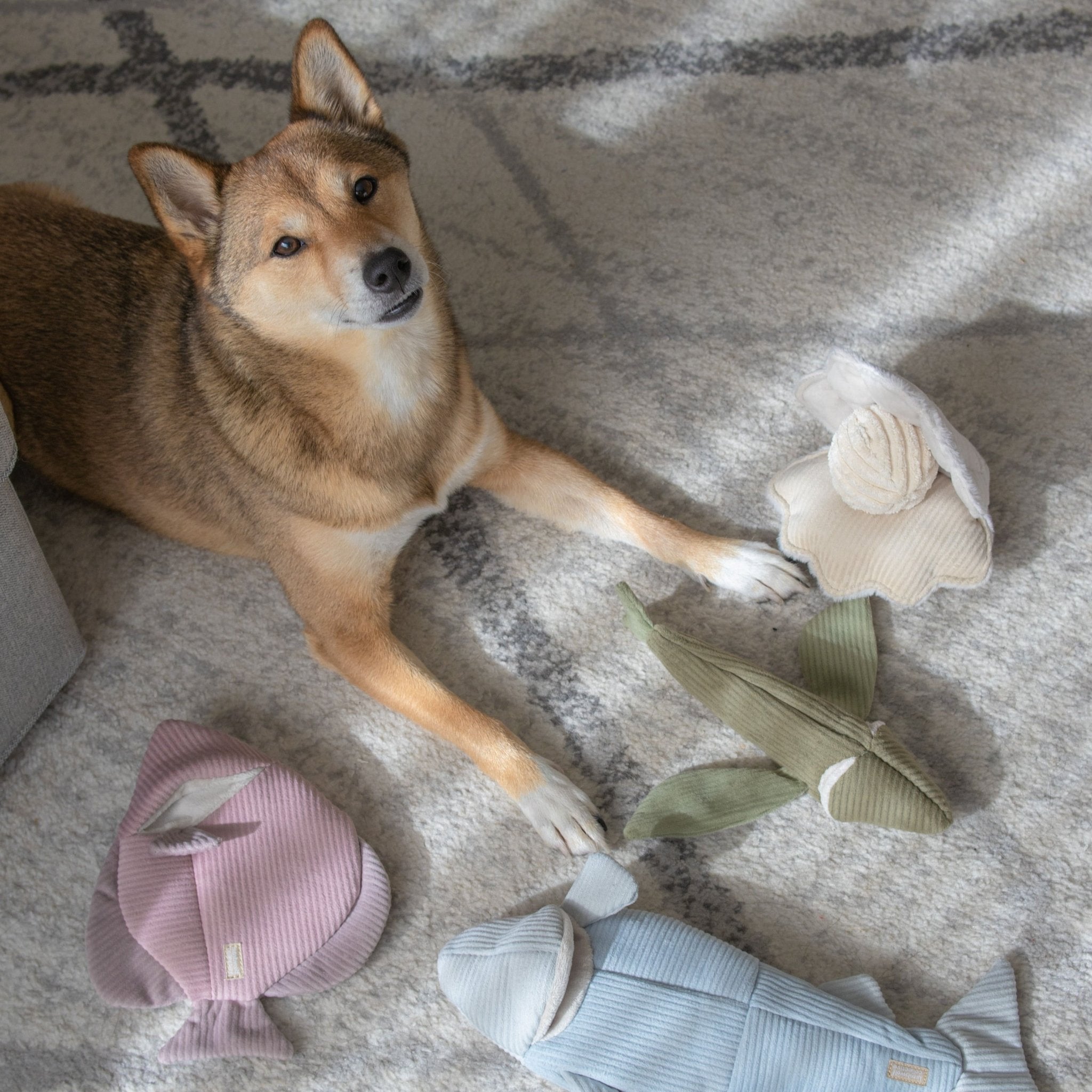 Angel Fish – 2-in-1 Burrow & Snuffle Dog Toy - Share Happy Outfits