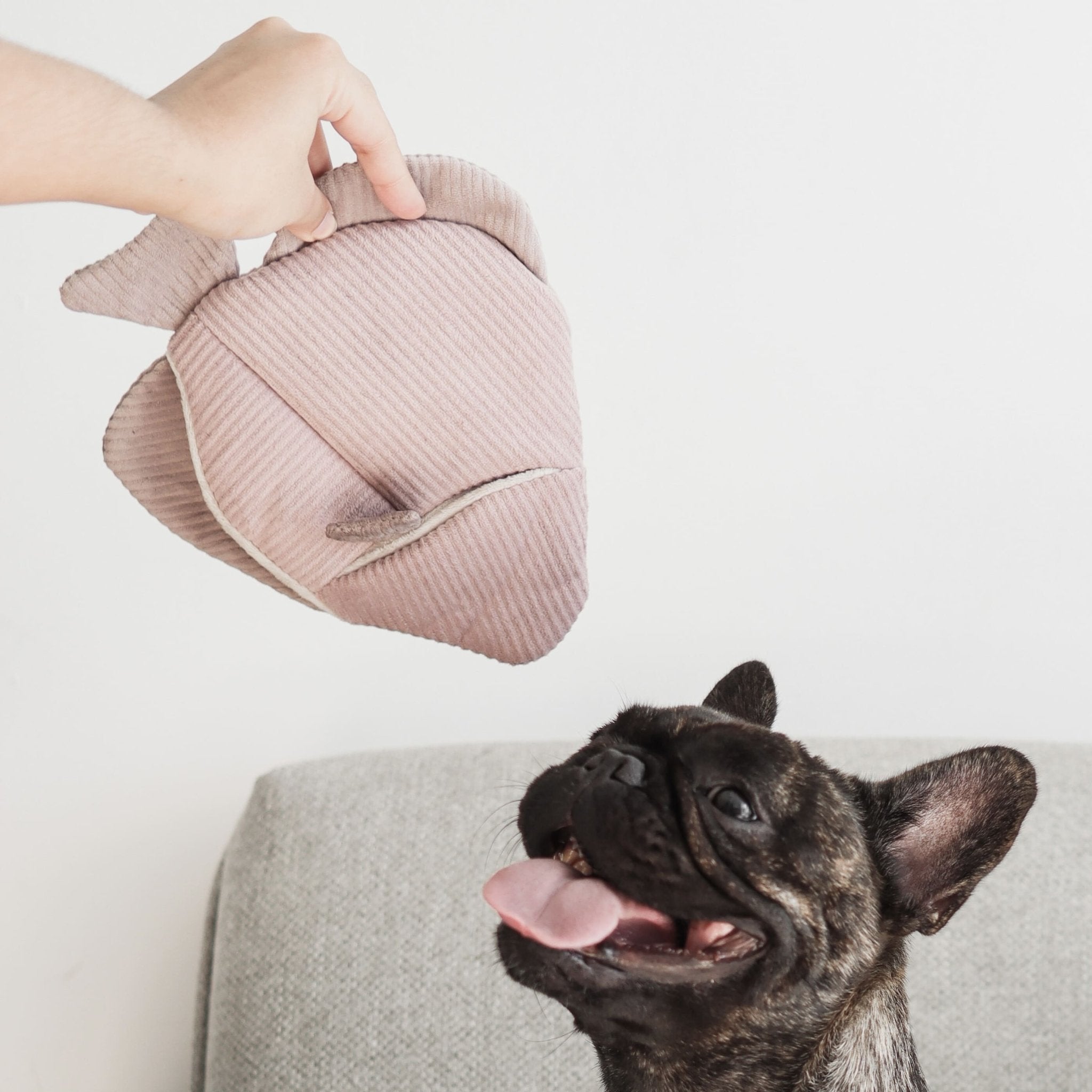 Angel Fish – 2-in-1 Burrow & Snuffle Dog Toy