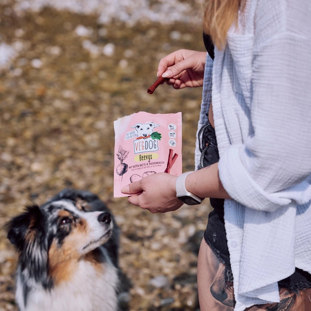 Person holding a pink dog treat package with a dog looking on outdoors.