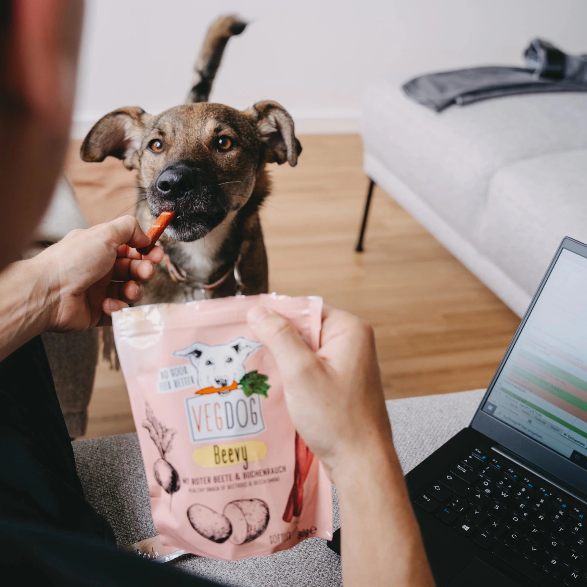 Person holding a pink &