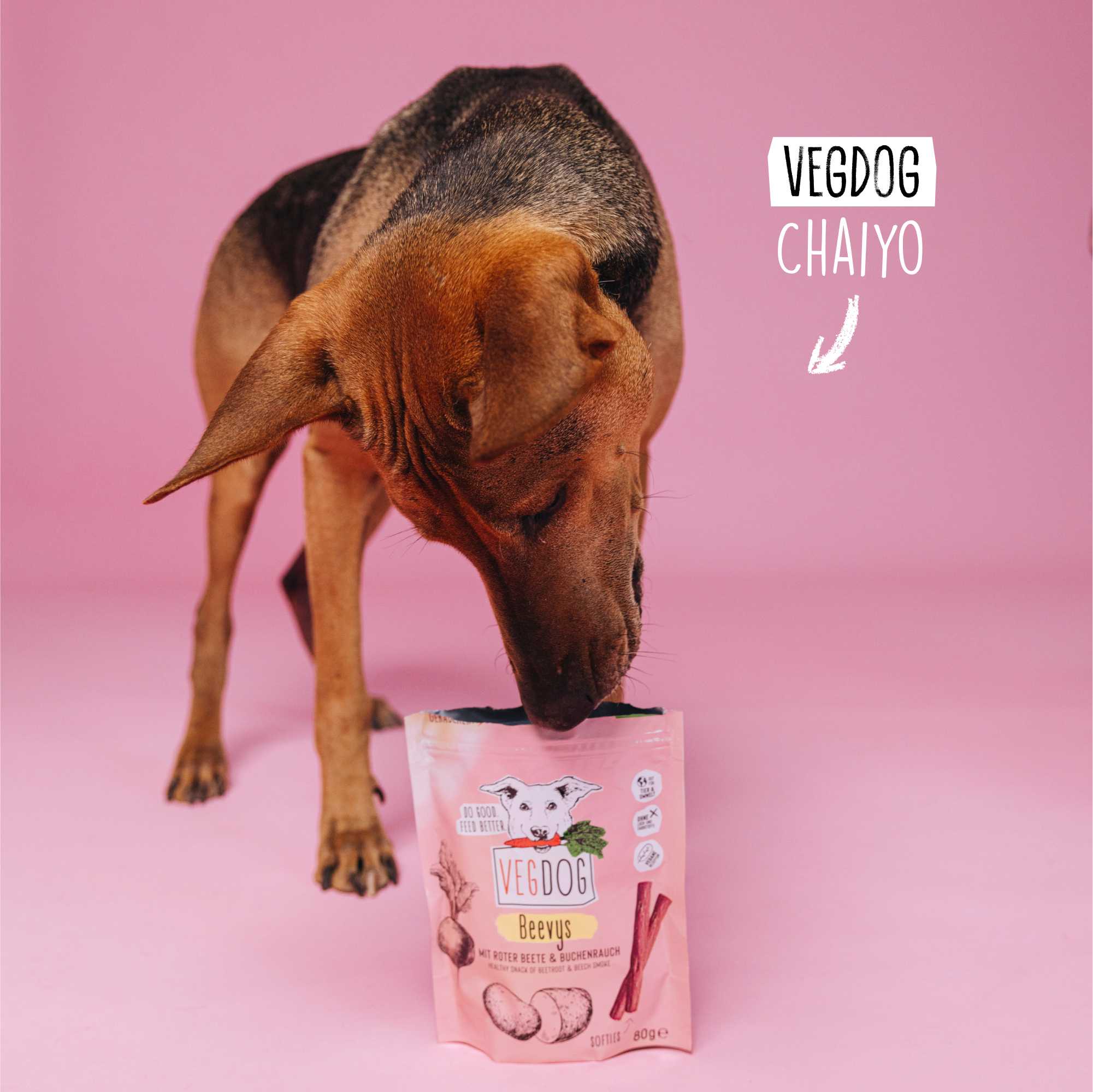 Dog sniffing a VEGDOG Chaiyo package on a pink background
