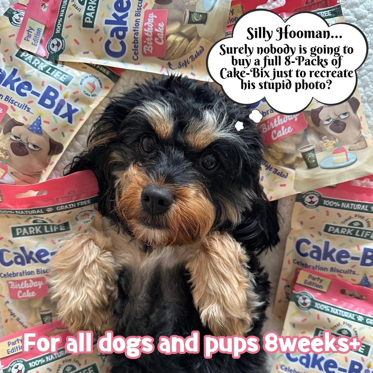 Birthday Cake-Bix Soft Dog Treats - Grain-Free, 100% Natural, Extra Soft Celebration Treats - Share Happy Outfits