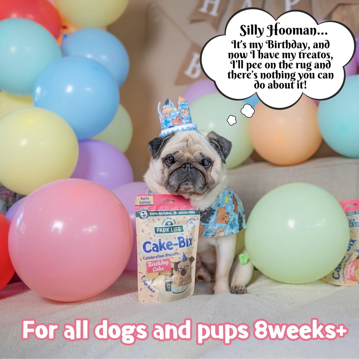 Birthday Cake-Bix Soft Dog Treats - Grain-Free, 100% Natural, Extra Soft Celebration Treats - Share Happy Outfits