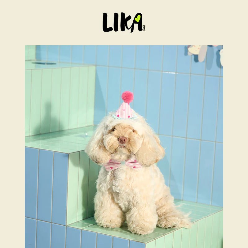 Birthday Celebration Set – Adjustable Collar, Velvet Bow & Pom-Pom Hat - Share Happy Outfits