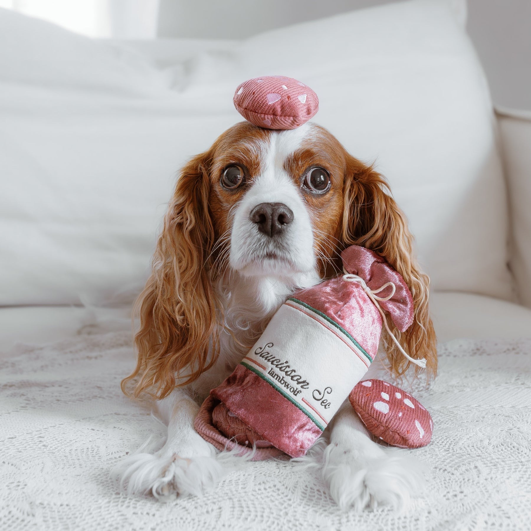 Saucisson – Challenging Burrow & Snuffle Dog Toy