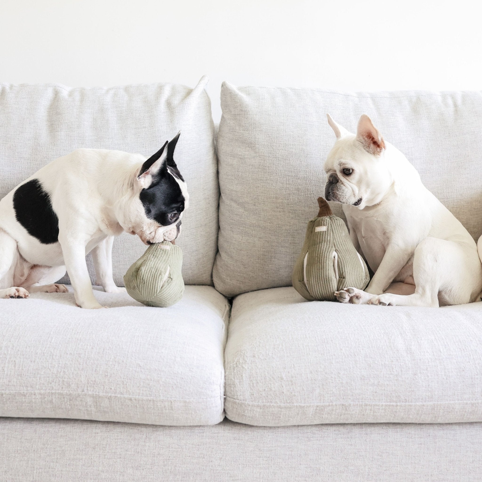 Butternut Squash – Interactive Snuffle & Burrow Dog Toy