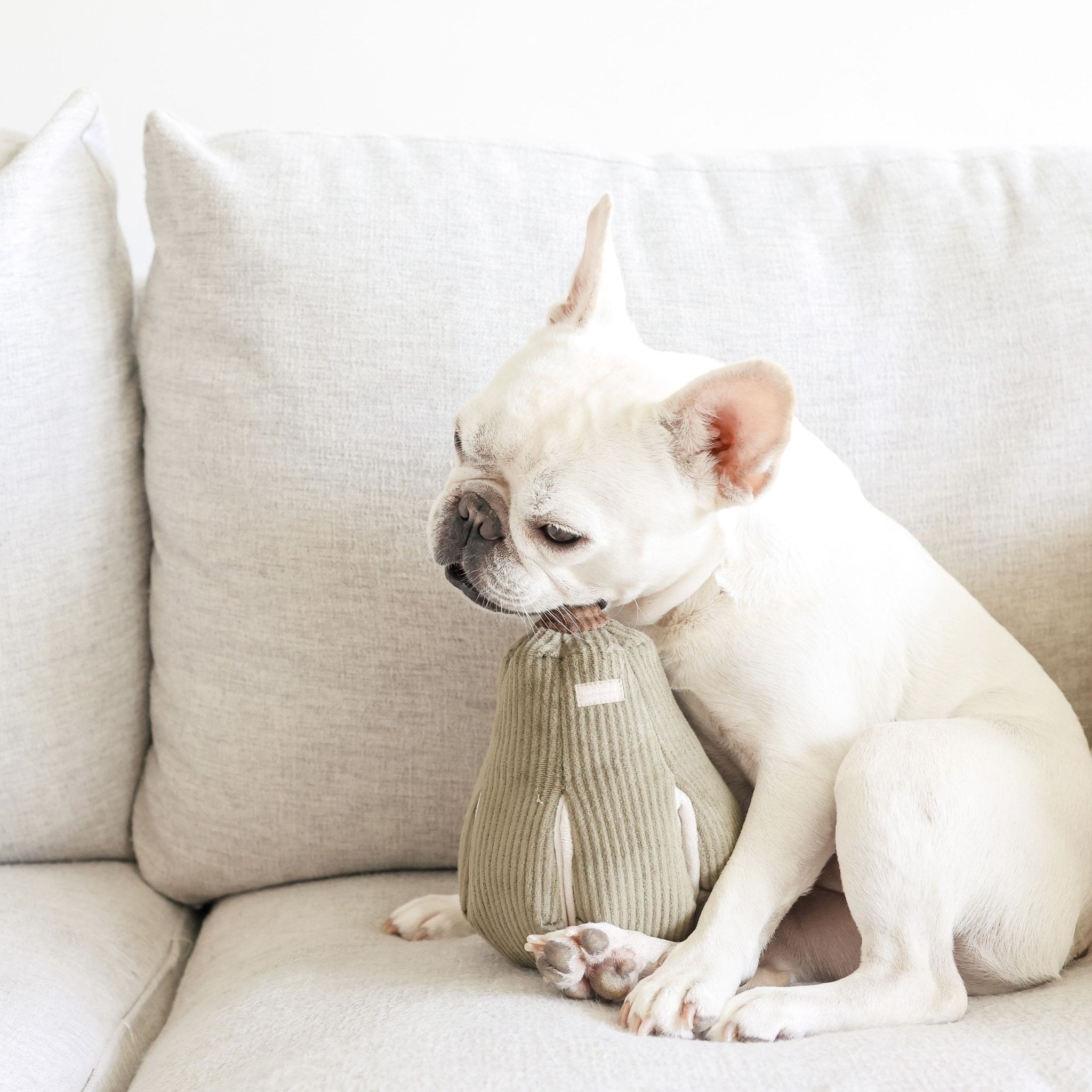 Butternut Squash – Interactive Snuffle & Burrow Dog Toy