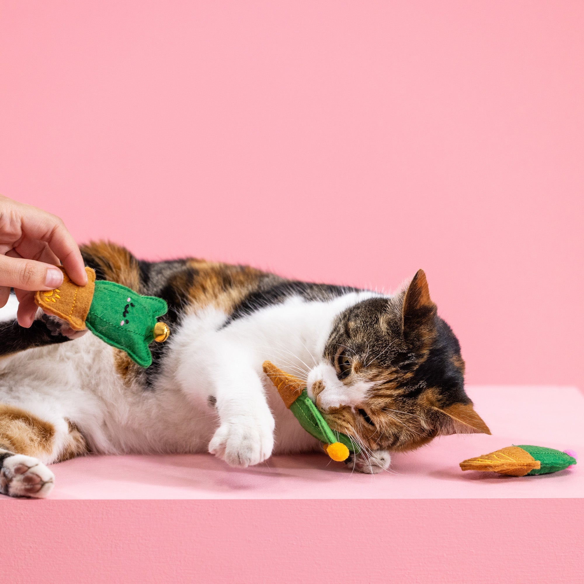 Cat-Us Friends Catnip Toy Set - Fun Cacti Crinkle, Bell and Catnip - Share Happy Outfits