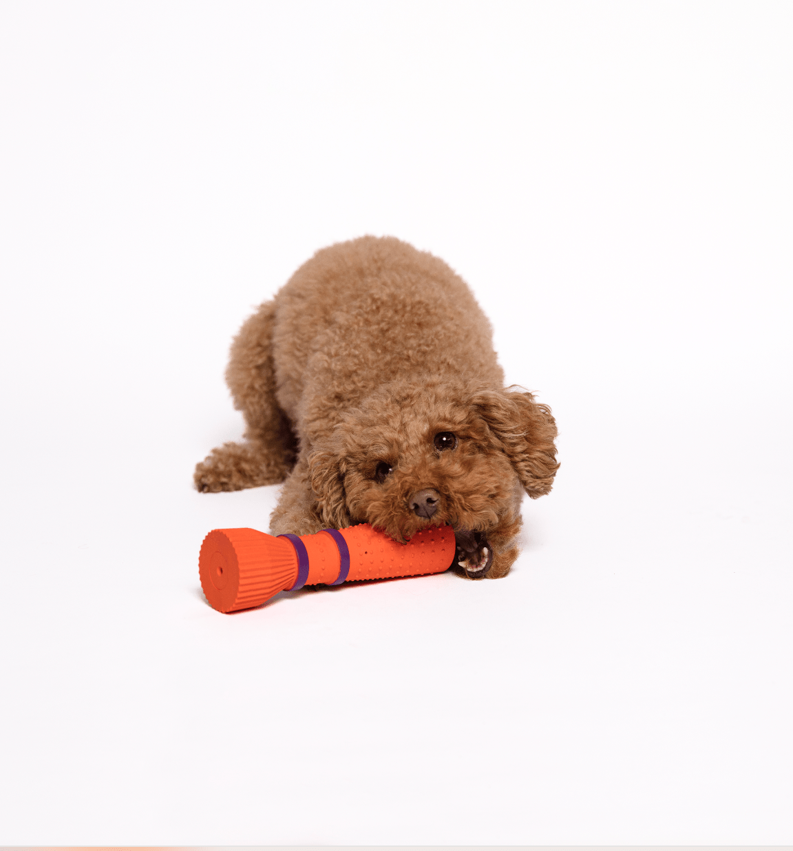 Chewing Dog Toy - Orange Zoomies Cone in Natural Rubber - Share Happy Outfits