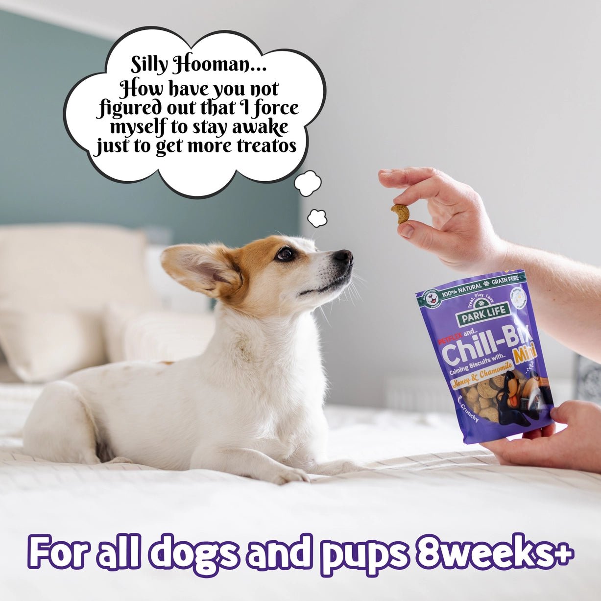Chill-Bix Mini Dog Treats with Honey & Chamomile | Natural, Grain-Free, Daily Gentle Support - Share Happy Outfits