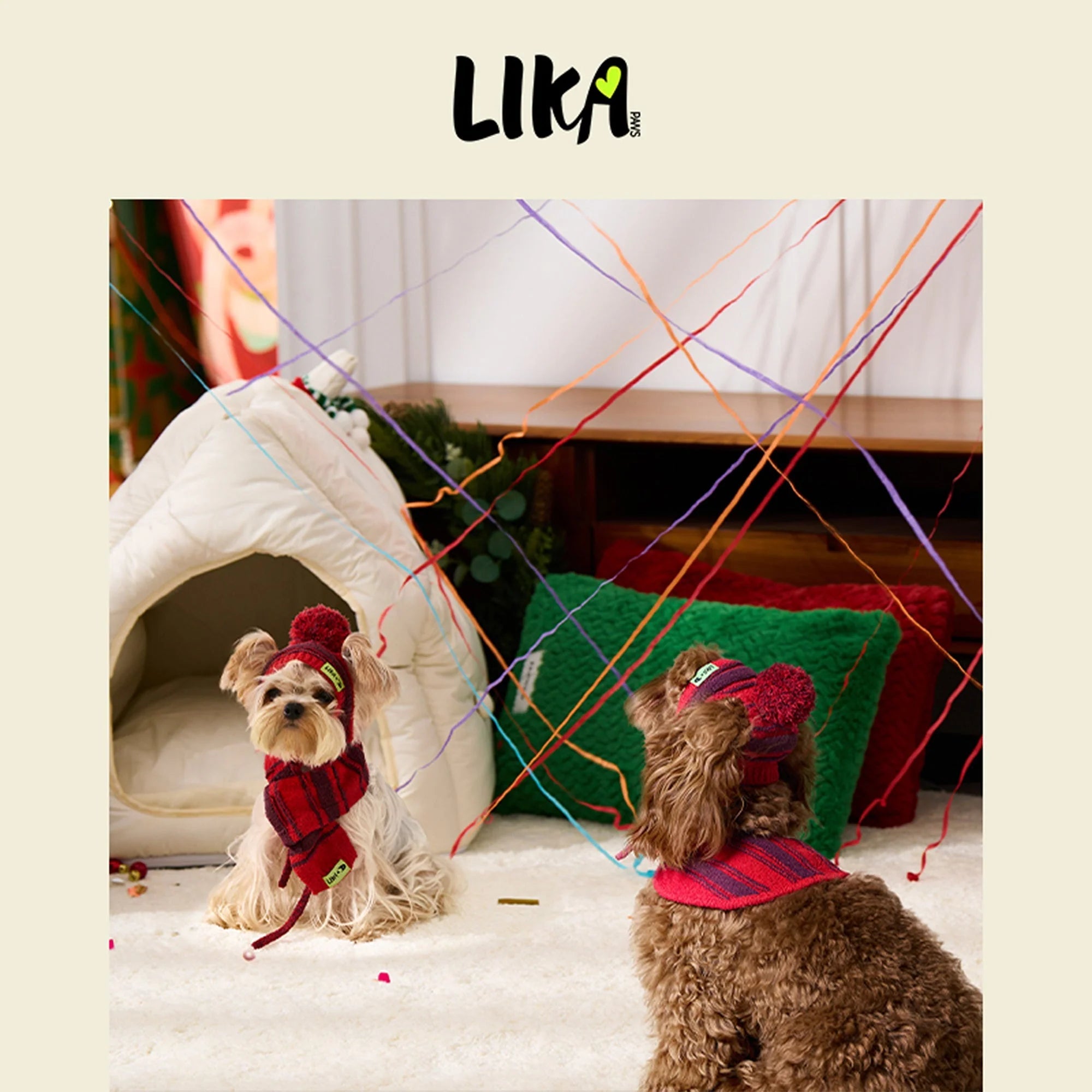 Two dogs wearing scarves and hats in a festive indoor setting with &