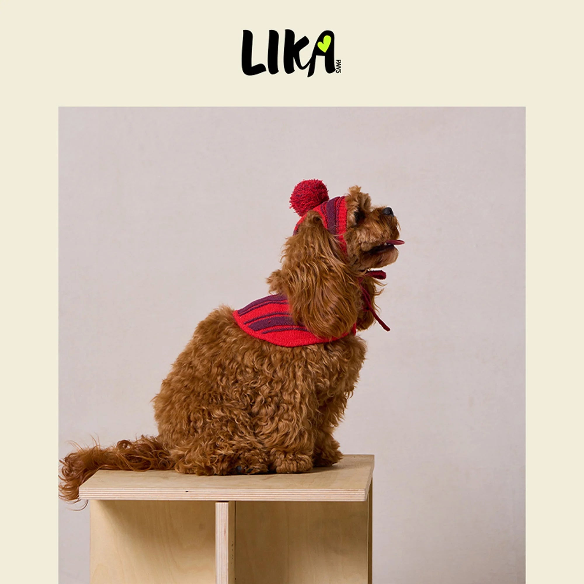 Dog wearing a red sweater and hat on a wooden stool with &