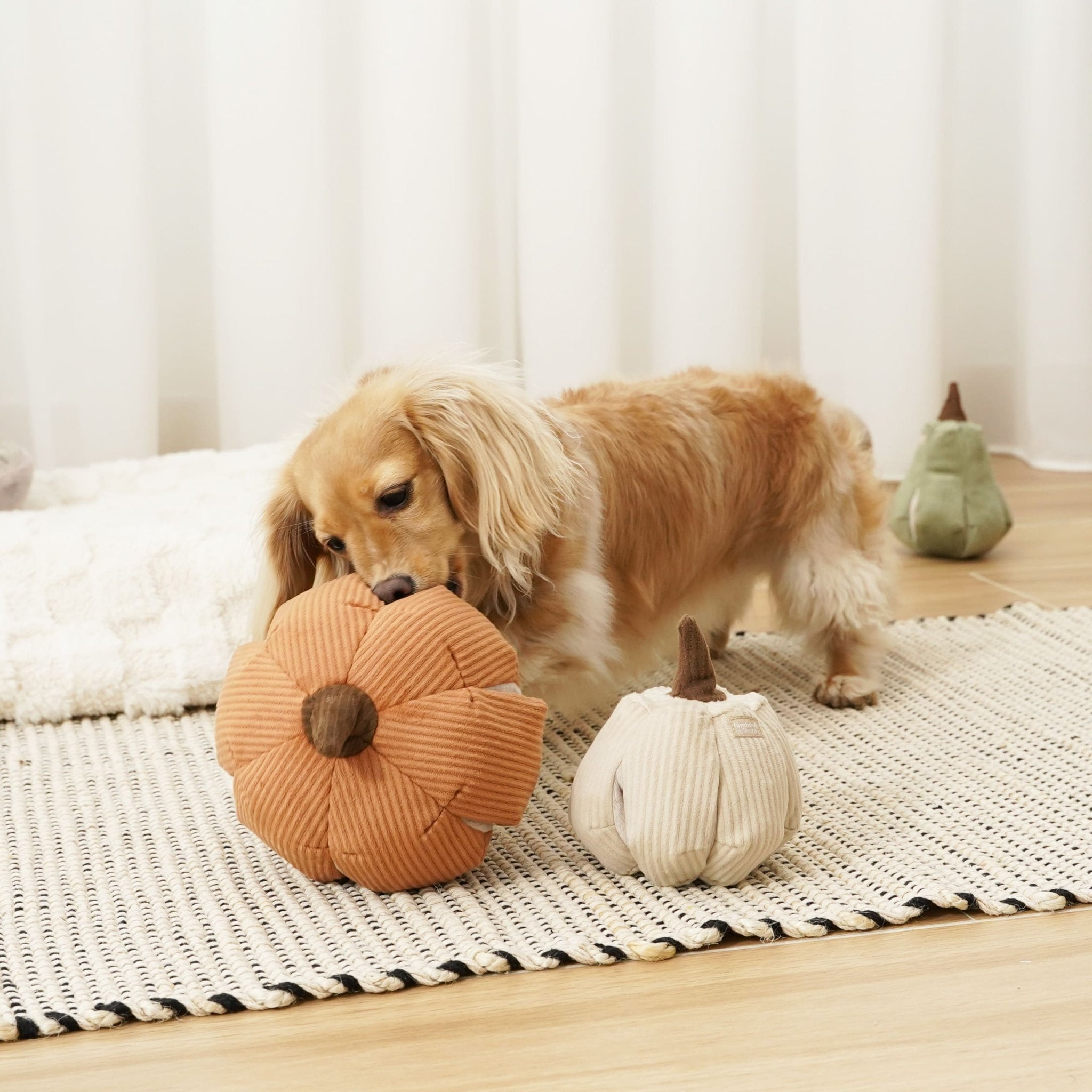 Cinderella Pumpkin - Interactive Snuffle & Burrow Dog Toy - Share Happy Outfits