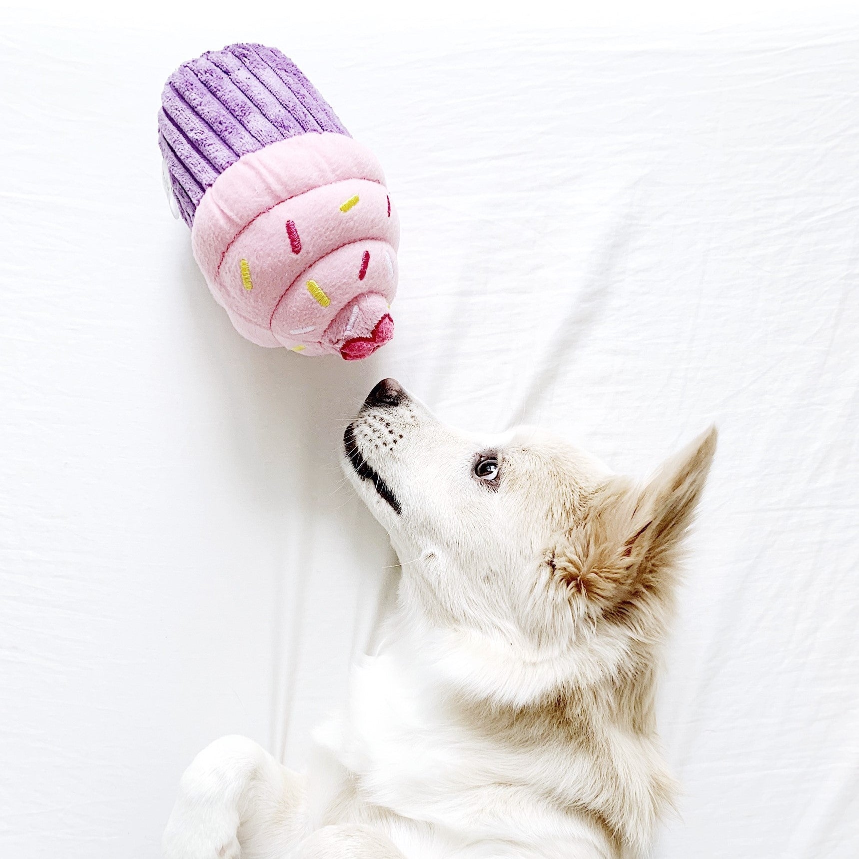 Cupcake Pink - Squeaker Dog Toy for Birthdays, Easter & Every Celebration - Share Happy Outfits