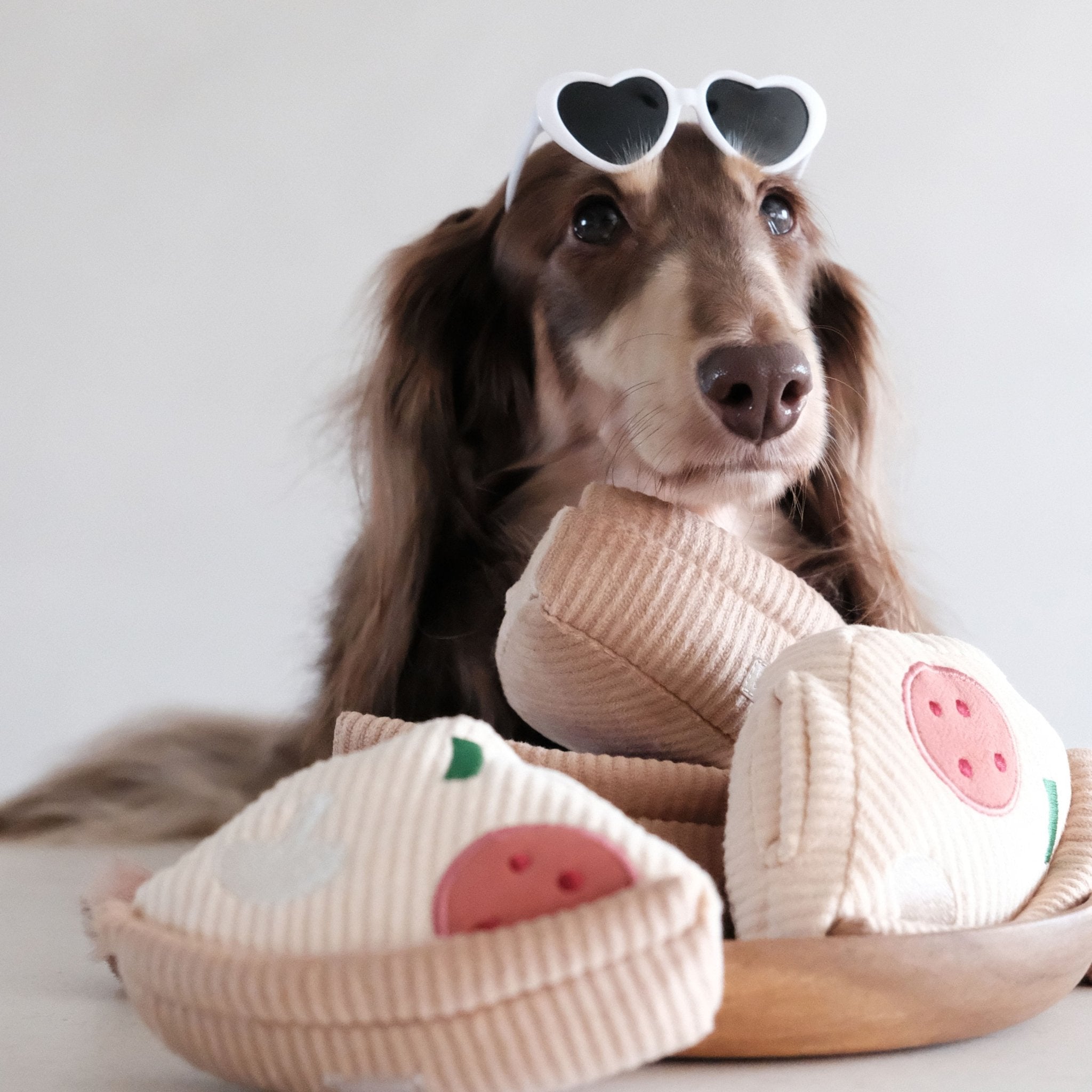 Deep Dish Pizza – Beginner-Friendly Snuffle & Burrow Dog Toy - Share Happy Outfits