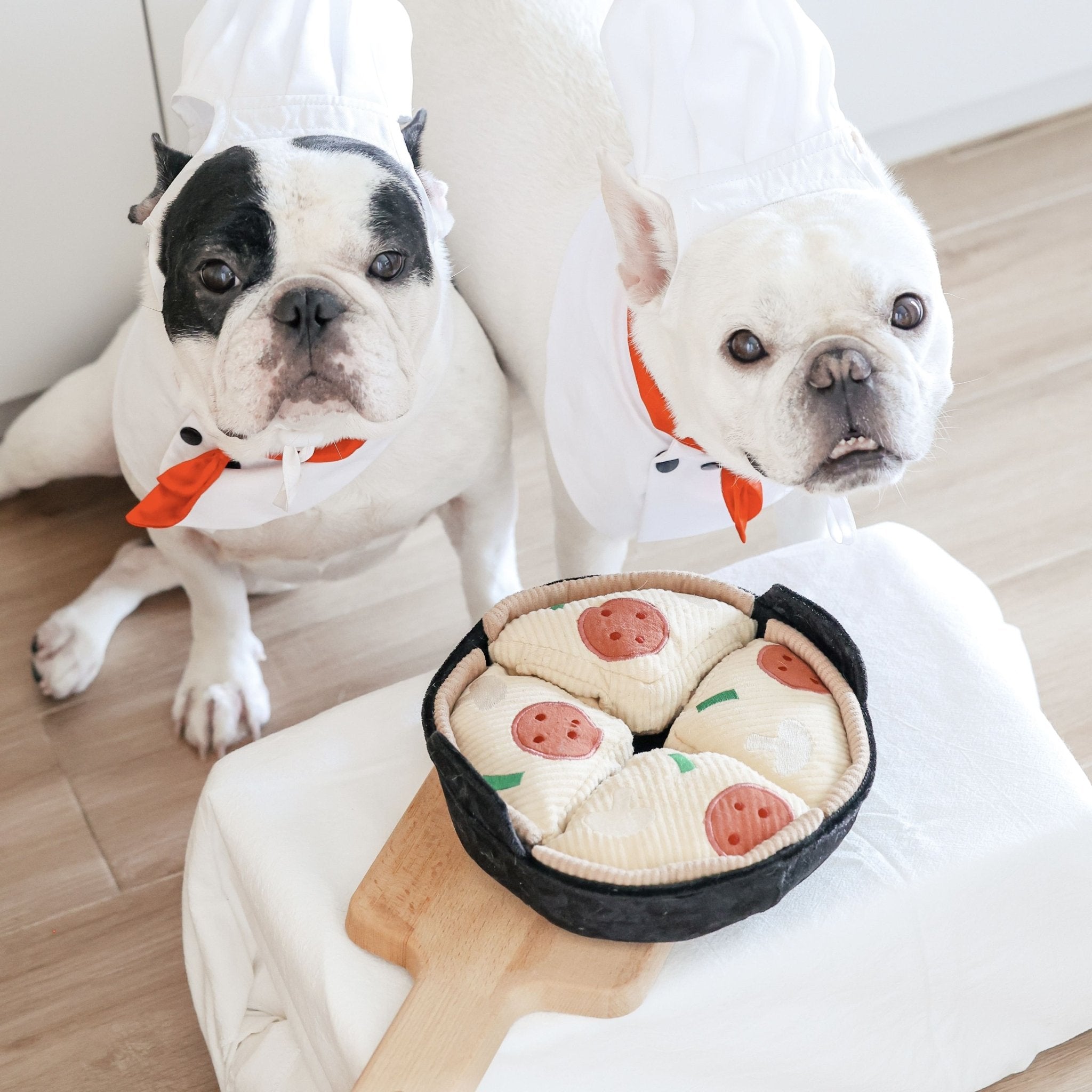 Deep Dish Pizza – Beginner-Friendly Snuffle & Burrow Dog Toy - Share Happy Outfits