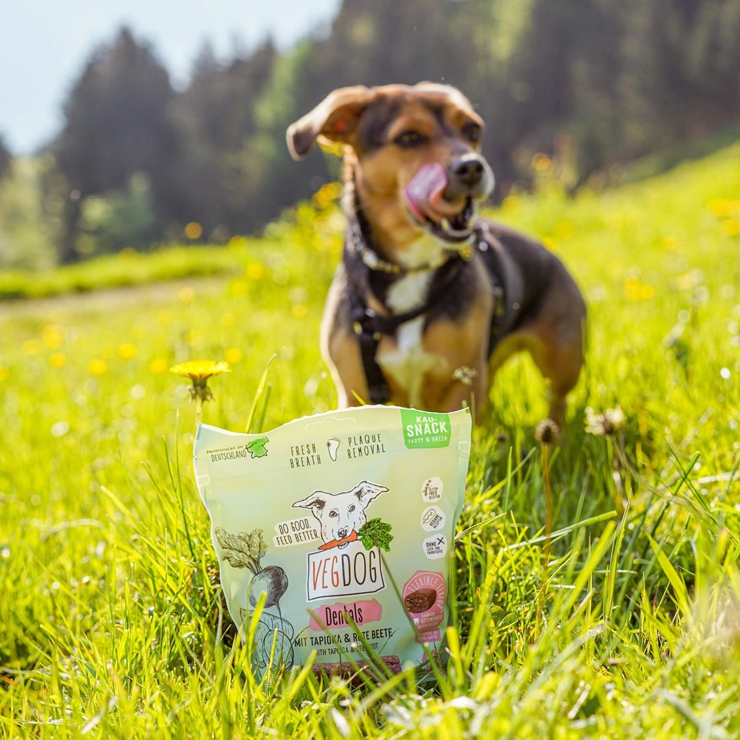 Dog standing in a grassy field with a VEGDOG snack package in front of it.