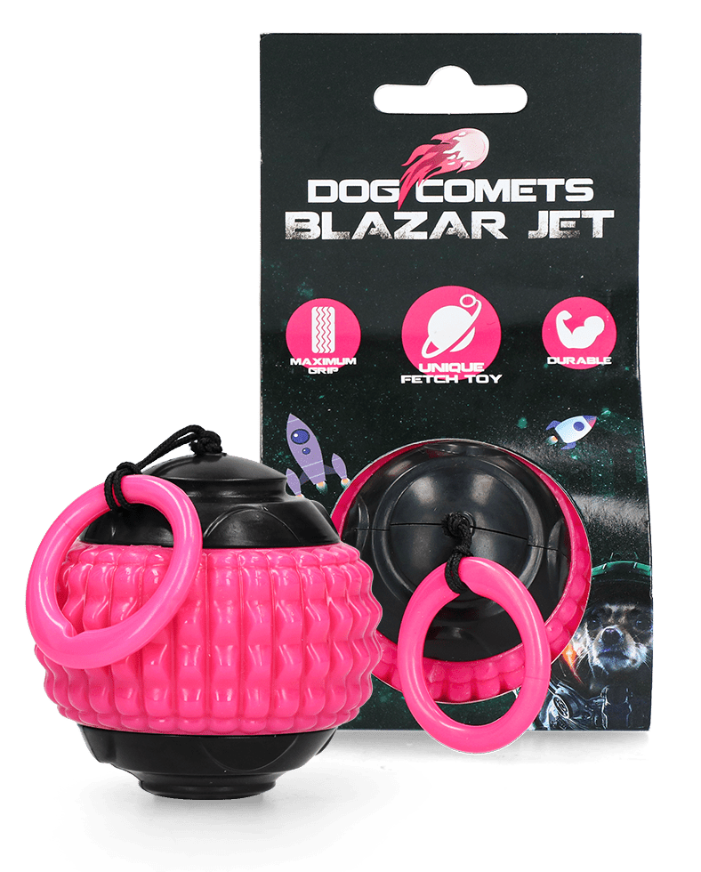 Pink and black dog toy with &