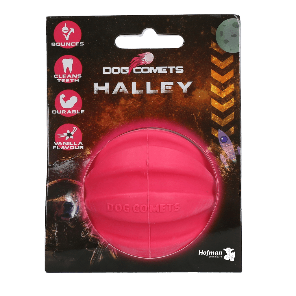 Dog Comets Halley Pink