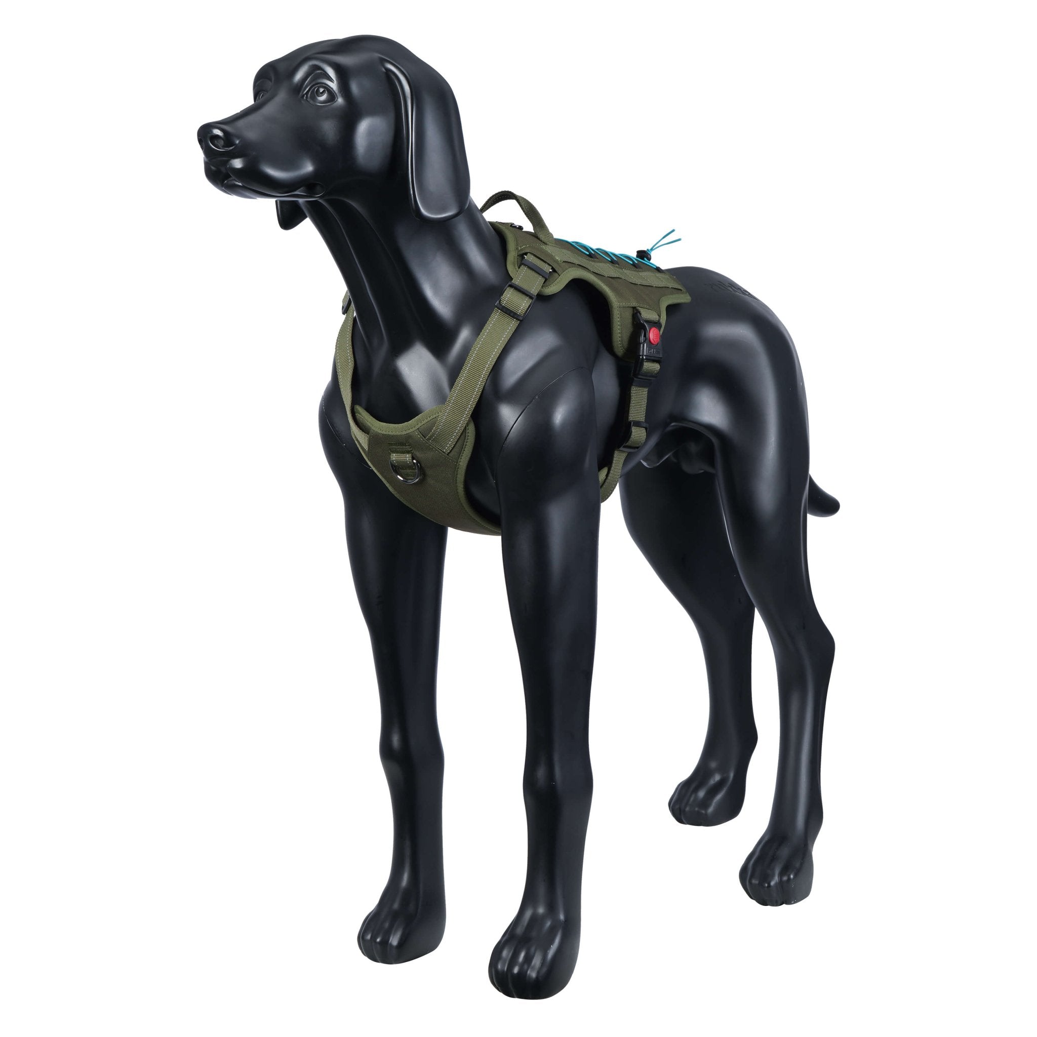 Green dog harness on a black mannequin dog against a white background